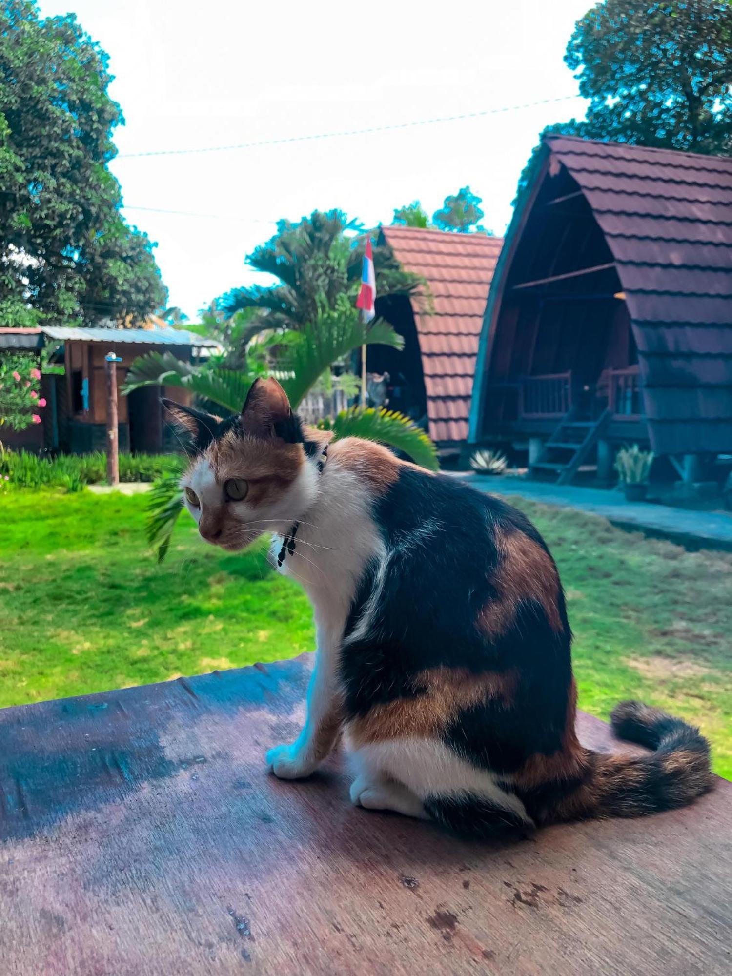 Leaf Coco Bungalow Gili Air Exterior foto